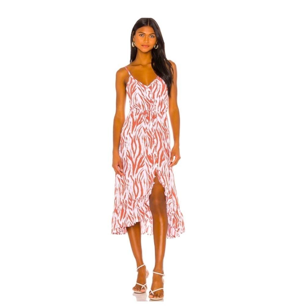 RAILS Frida Zebra Nights Dress.